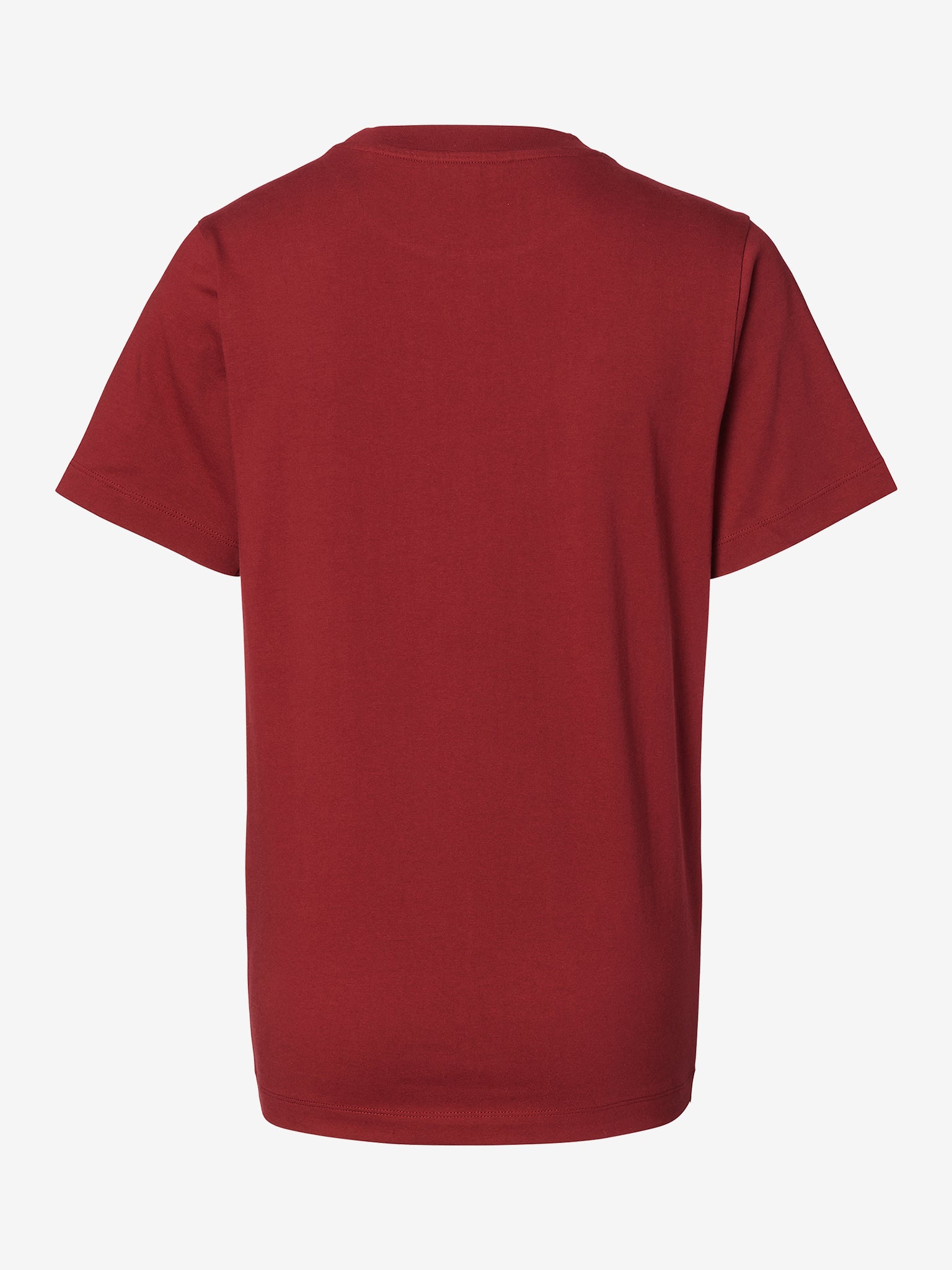 Rotes Umstands- und Still T-Shirt - Rückansicht freigestellt, weiche Bio-Baumwolle und lockerer Fall für Schwangerschaft und Stillzeit